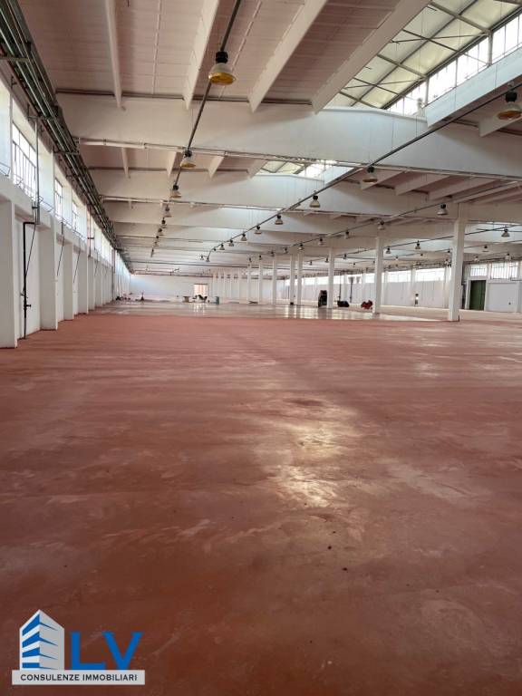 locale commerciale in vendita a Frosinone