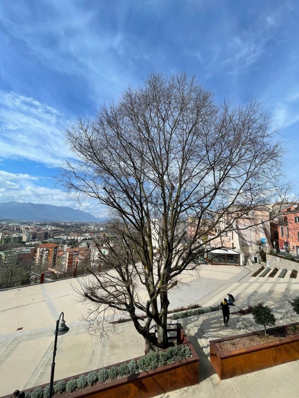 appartamento in vendita a Frosinone