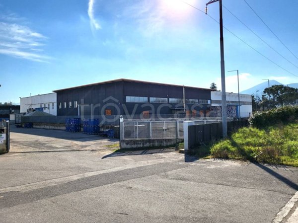 locale commerciale in vendita a Frosinone