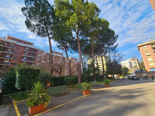 appartamento in vendita a Frosinone