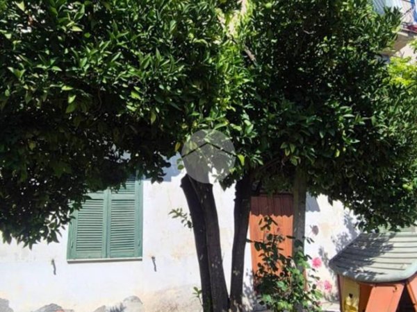 appartamento in vendita a Frosinone in zona Le Rase