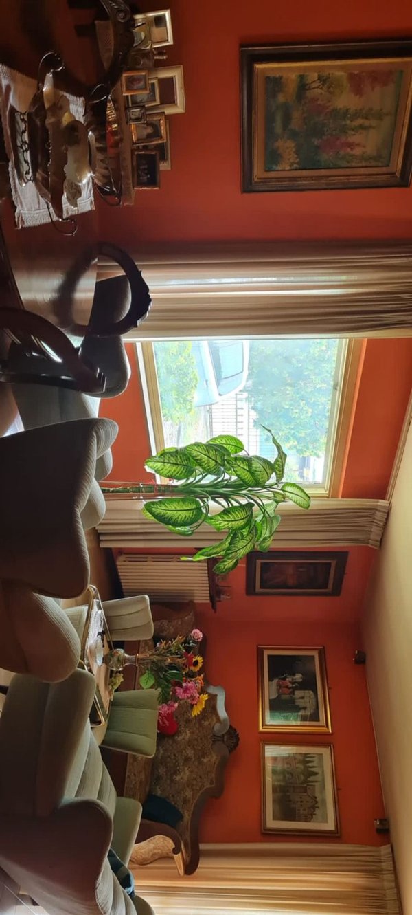 casa indipendente in vendita a Frosinone