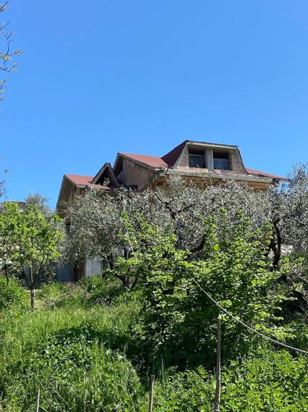 pentavano in vendita a Frosinone