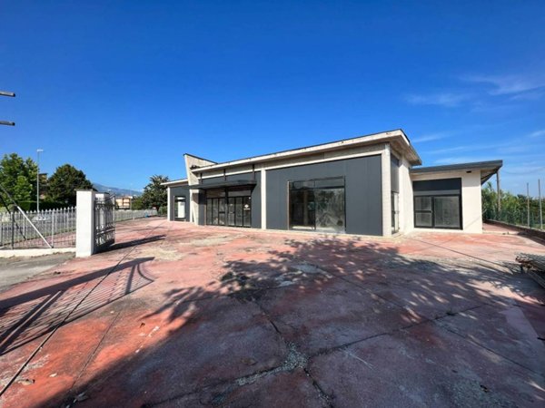 negozio in vendita a Frosinone