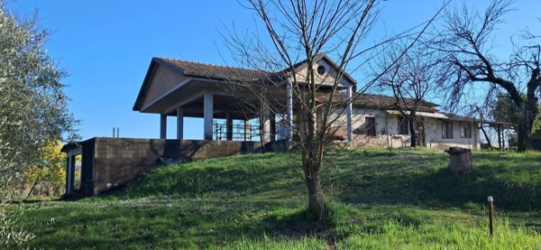 pentavano in vendita a Frosinone