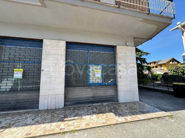 negozio in vendita a Frosinone