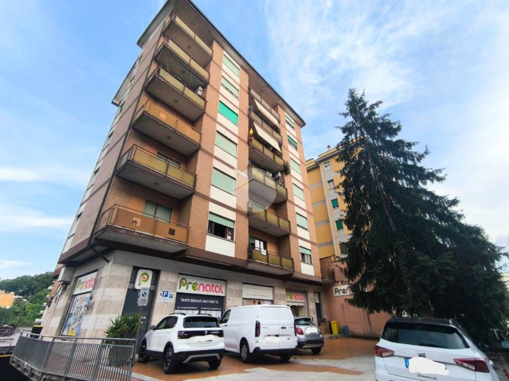 appartamento in vendita a Frosinone