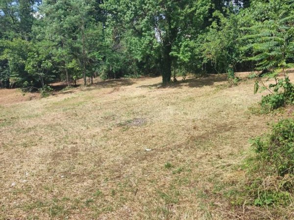 terreno agricolo in vendita a Fumone