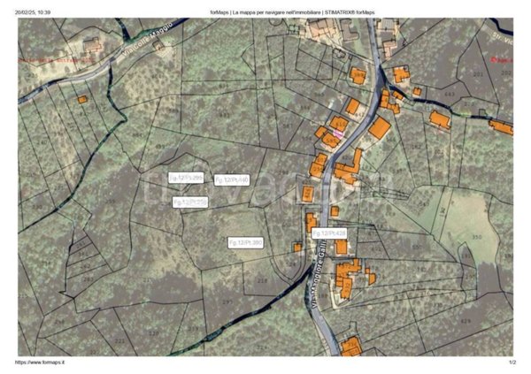 terreno agricolo in vendita a Gallinaro