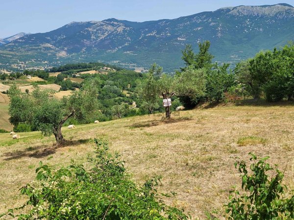 terreno edificabile in vendita a Gallinaro