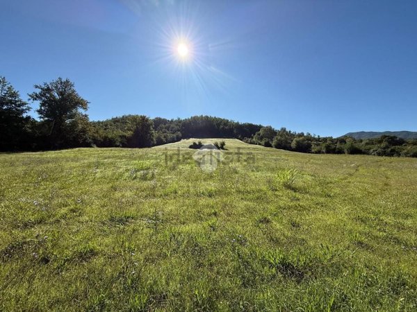 terreno agricolo in vendita a Gallinaro