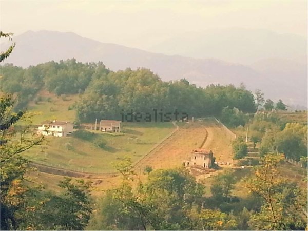 pentavano in vendita a Gallinaro