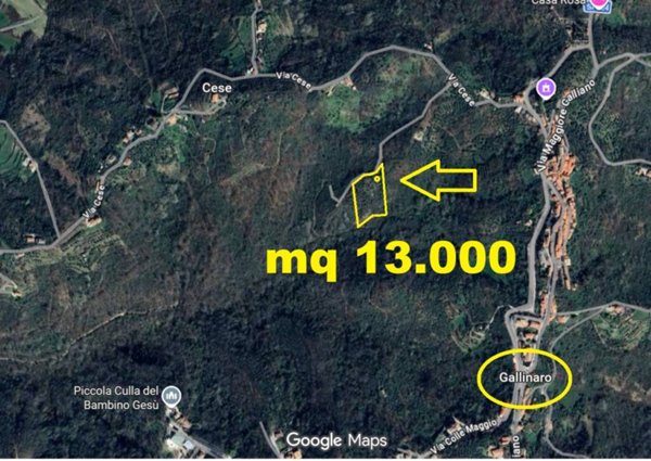 quadrivano in vendita a Gallinaro