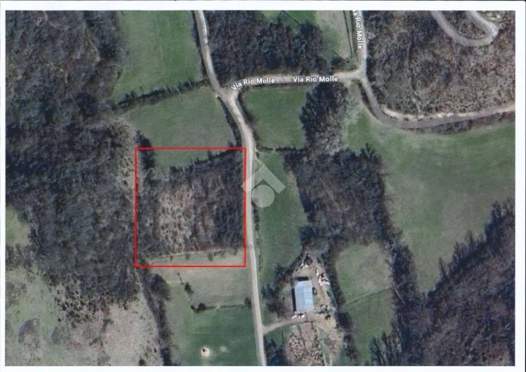 terreno agricolo in vendita a Gallinaro