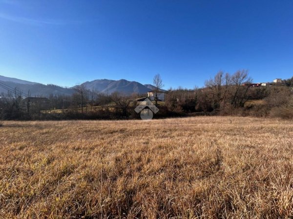 terreno agricolo in vendita a Gallinaro