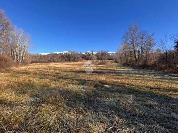 terreno agricolo in vendita a Gallinaro