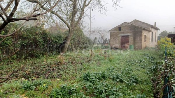 casa indipendente in vendita a Giuliano di Roma