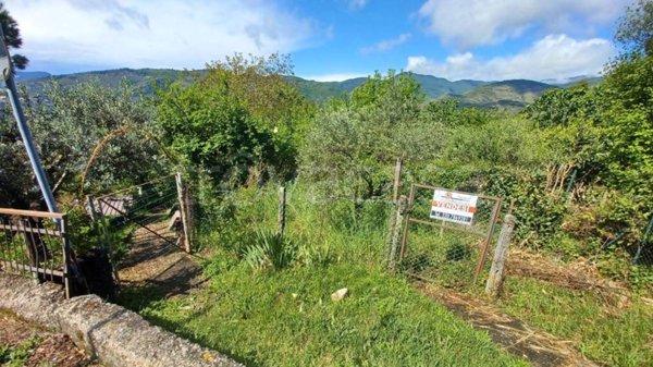terreno agricolo in vendita a Giuliano di Roma