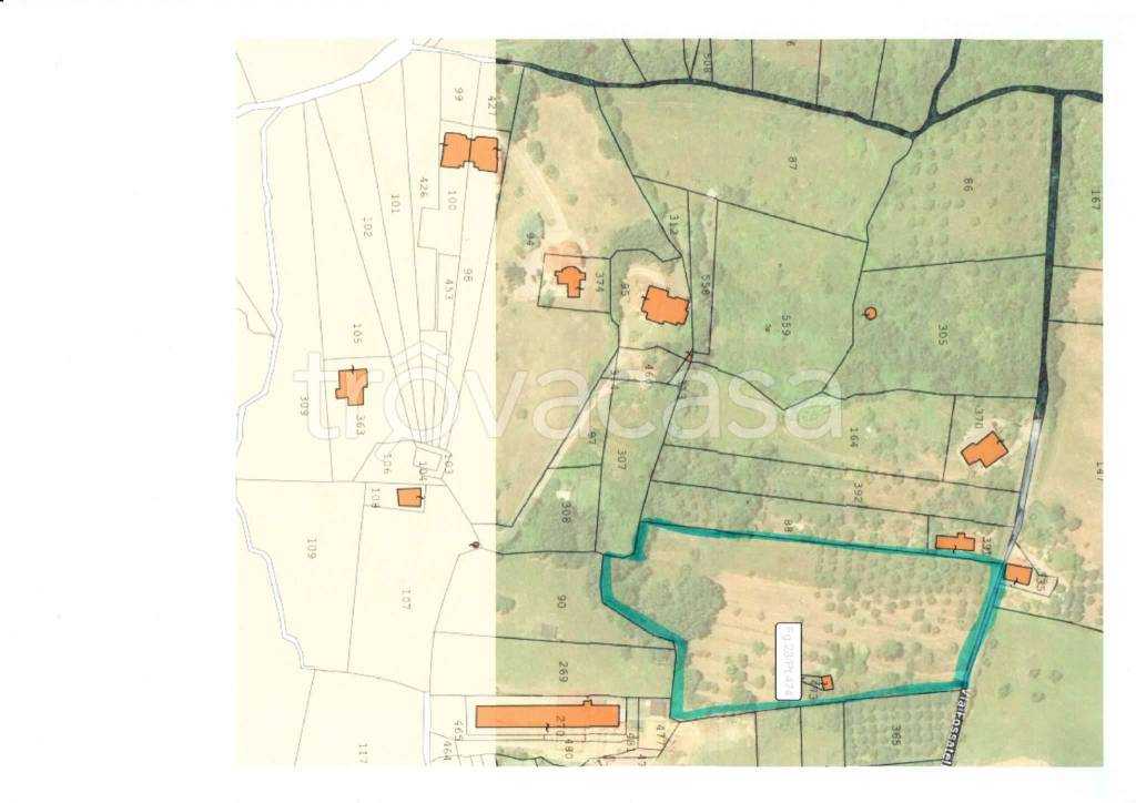 terreno agricolo in vendita a Giuliano di Roma
