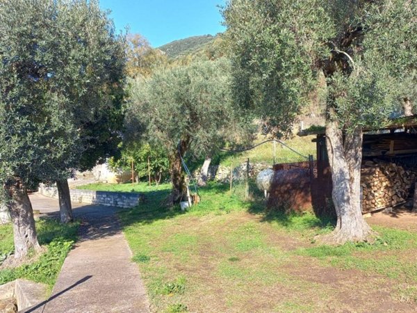 casa indipendente in vendita a Giuliano di Roma