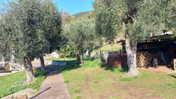 immagine annuncio 0 di 15