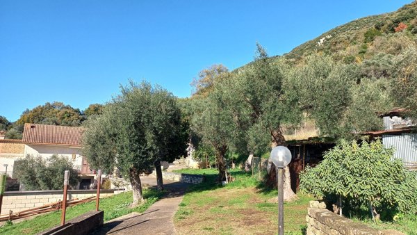 casa indipendente in vendita a Giuliano di Roma