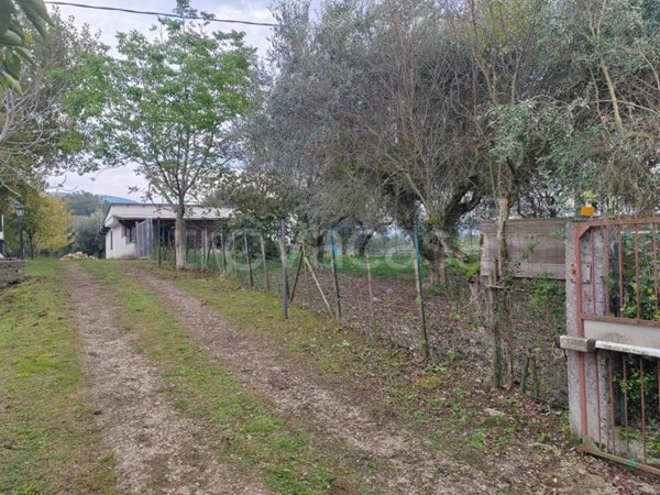 appartamento in vendita a Giuliano di Roma