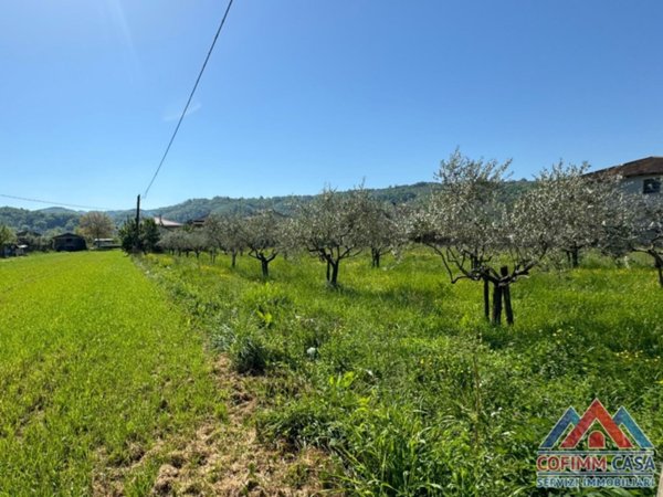 terreno agricolo in vendita ad Isola del Liri in zona Carnello