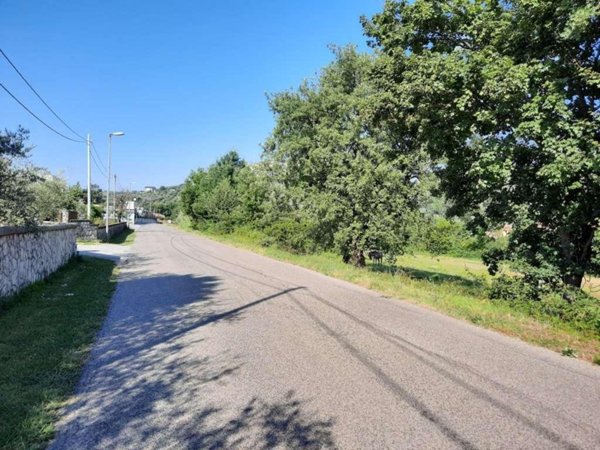 terreno agricolo in vendita a Monte San Giovanni Campano