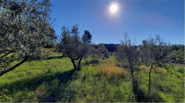 terreno agricolo in vendita a Monte San Giovanni Campano