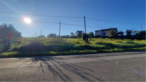 terreno agricolo in vendita a Monte San Giovanni Campano