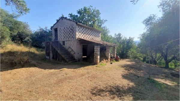 terreno agricolo in vendita a Monte San Giovanni Campano in zona Colli
