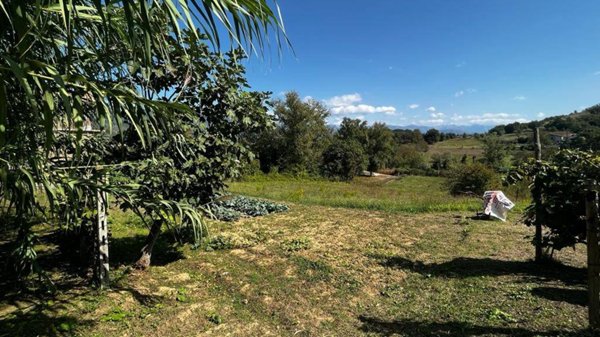 terreno agricolo in vendita a Monte San Giovanni Campano in zona Porrino