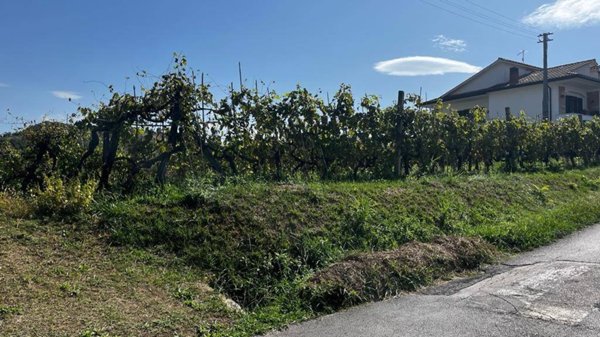 terreno agricolo in vendita a Monte San Giovanni Campano in zona Porrino