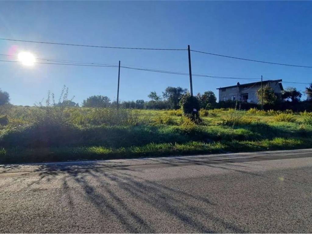 terreno agricolo in vendita a Monte San Giovanni Campano