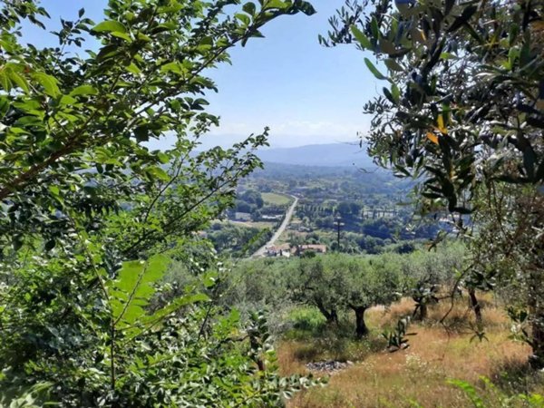 terreno agricolo in vendita a Monte San Giovanni Campano