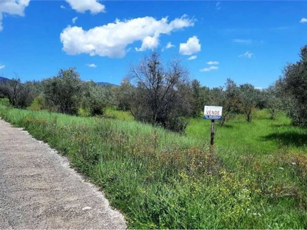 terreno agricolo in vendita a Monte San Giovanni Campano in zona Porrino