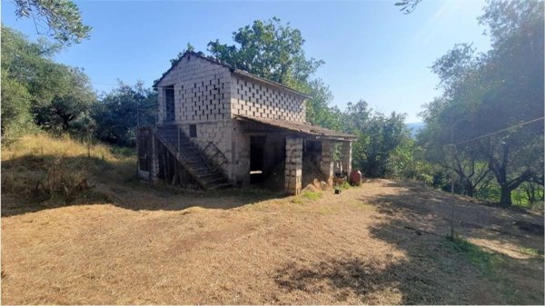 azienda agricola in vendita a Monte San Giovanni Campano in zona Colli