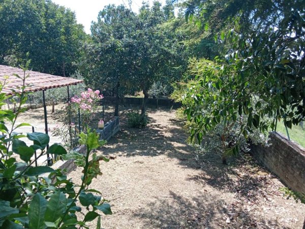 casa indipendente in vendita a Monte San Giovanni Campano in zona Colli