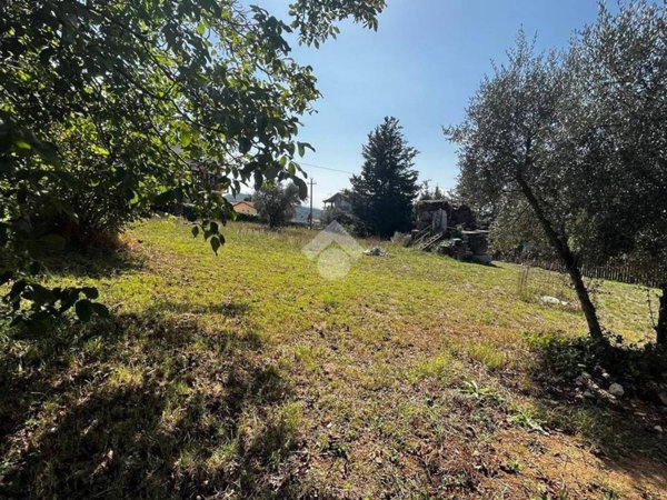 terreno agricolo in vendita a Monte San Giovanni Campano