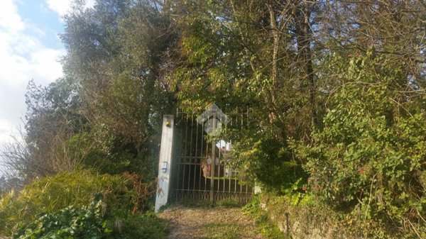 casa indipendente in vendita a Monte San Giovanni Campano in zona Colli
