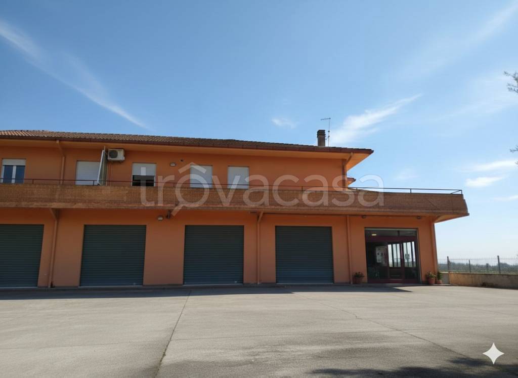 appartamento in vendita a Monte San Giovanni Campano in zona Colli