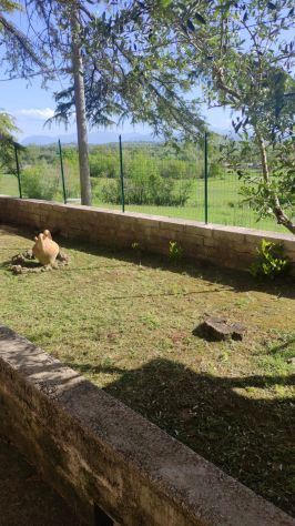 intera palazzina in vendita a Monte San Giovanni Campano in zona Colli