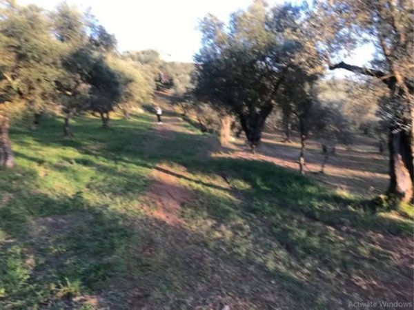 appartamento in vendita a Monte San Giovanni Campano