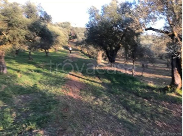 appartamento in vendita a Monte San Giovanni Campano in zona Colli