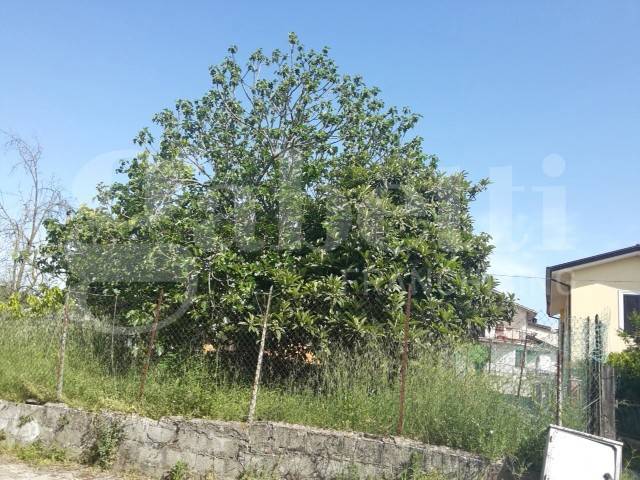 casa indipendente in vendita a Monte San Giovanni Campano