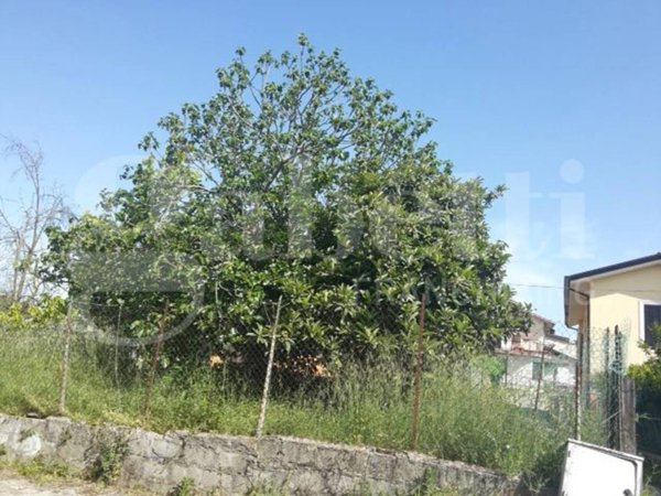 casa indipendente in vendita a Monte San Giovanni Campano