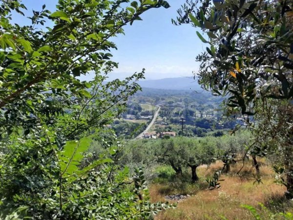 terreno agricolo in vendita a Monte San Giovanni Campano