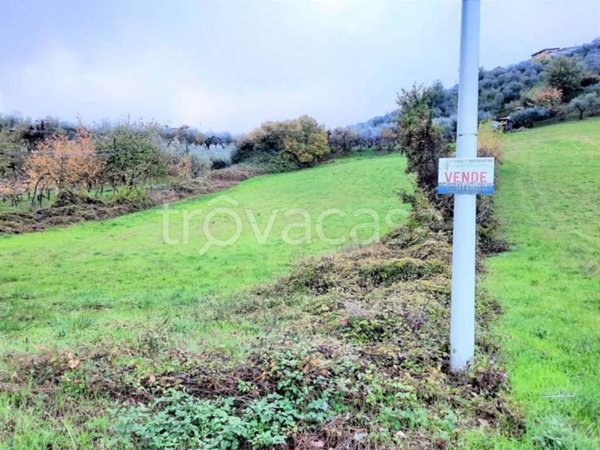 terreno agricolo in vendita a Monte San Giovanni Campano