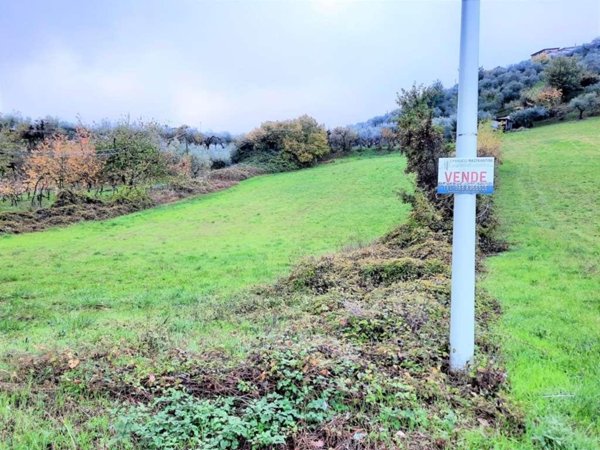 terreno agricolo in vendita a Monte San Giovanni Campano